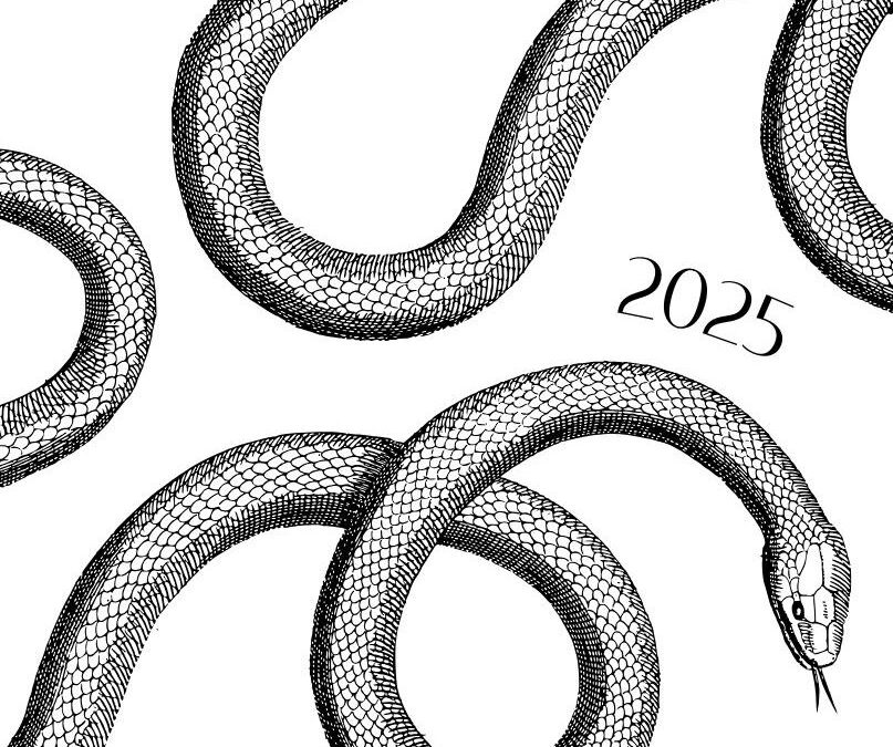 2025 Year of the Snake